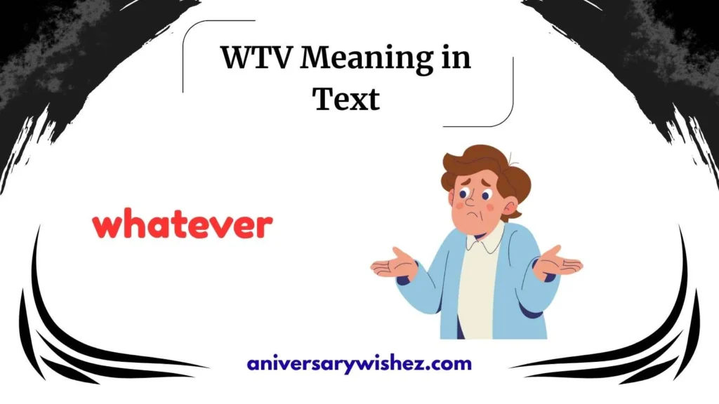 wtv meaning in text
