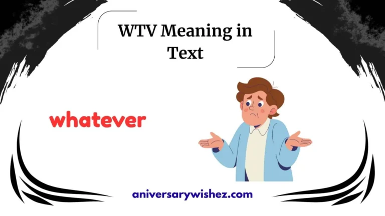 wtv meaning in text