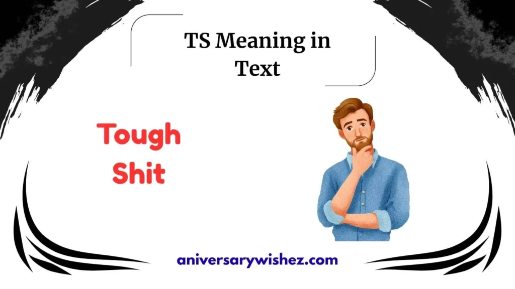 TS Meaning in Text
