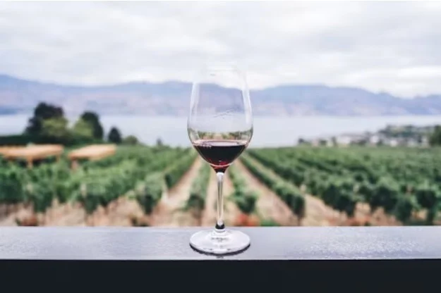 Why a Wine Chiller Belongs at Your Next Music Festival